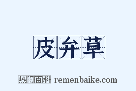 皮弁草是什么意思的图片